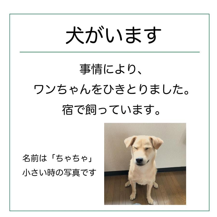 Guesthouse Sakamichi Sampo 钏路 外观 照片